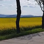 Fewo-Auf-Der-Muehlwiese-Fuer-4-10-Personen *