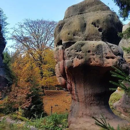 Auf-der-muehlwiese Großschönau