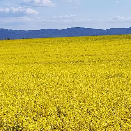 Apartment Auf-der-muehlwiese Grossschoenau