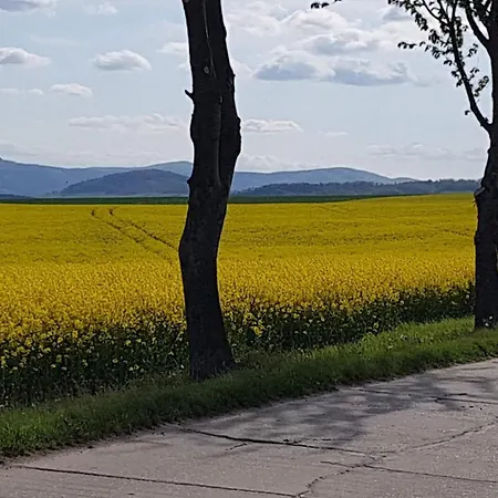 Auf-der-muehlwiese
