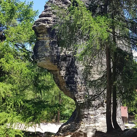 Auf-der-muehlwiese