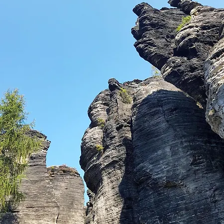 Fewo-auf-der-muehlwiese-fuer-4-10-personen
