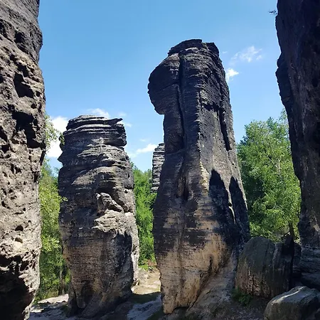 شقة Fewo-auf-der-muehlwiese-fuer-4-10-personen