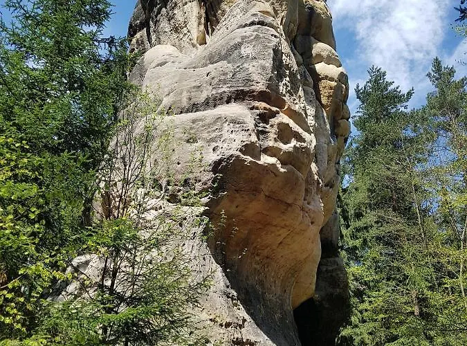 Auf-der-muehlwiese شقة