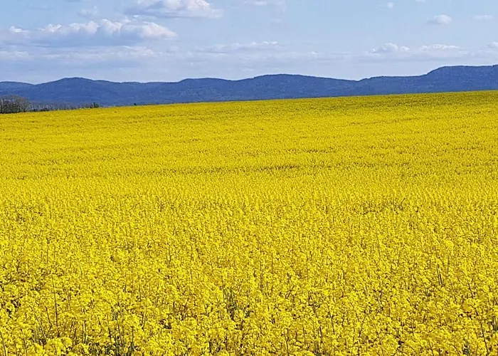 شقة Auf-der-muehlwiese غروسشوناو